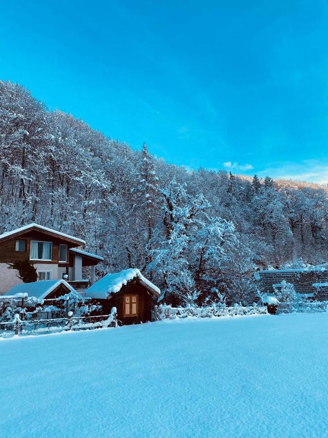 Chalet Happy Family, Secluded Location, 15 Min To Salzburg And Just Short To T Lakes Sound Of Music, Bbq&Bikes&Sunbeds For Free, Up To 14P Golling an der Salzach Dış mekan fotoğraf