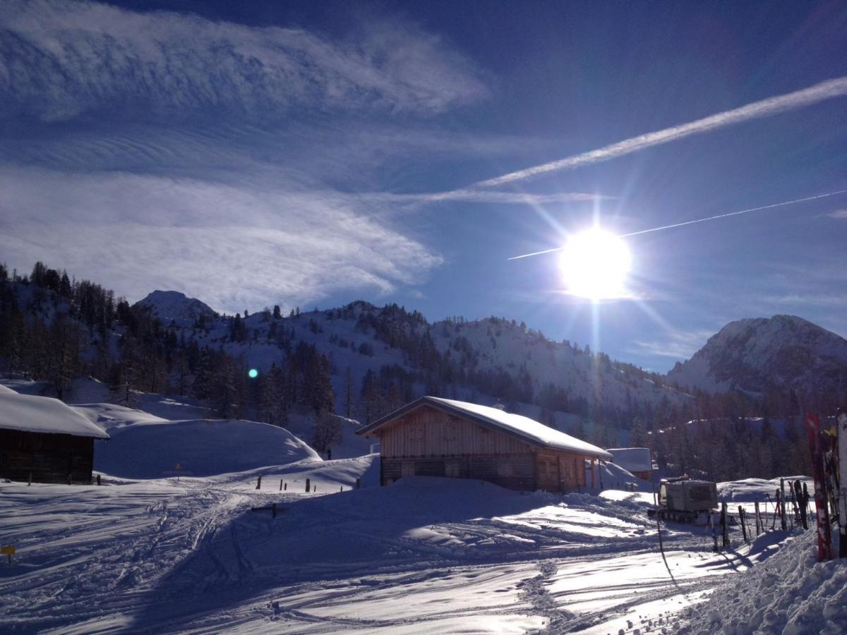 Chalet Happy Family, Secluded Location, 15 Min To Salzburg And Just Short To T Lakes Sound Of Music, Bbq&Bikes&Sunbeds For Free, Up To 14P Golling an der Salzach Dış mekan fotoğraf